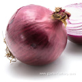 Quality fresh onion vegetables new crop for wholesale